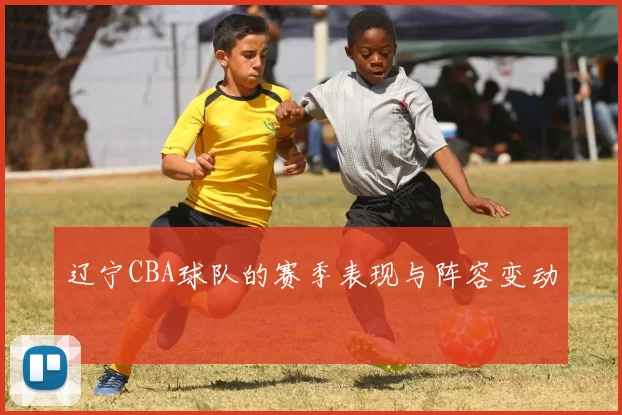 辽宁CBA球队的赛季表现与阵容变动