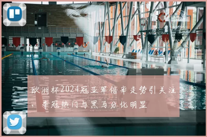 欧洲杯2024冠亚军倍率走势引关注，夺冠热门与黑马分化明显