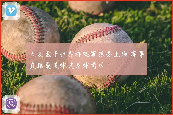 大麦盒子世界杯观赛服务上线 赛事直播覆盖球迷看球需求