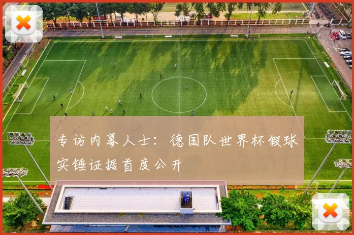 专访内幕人士:德国队世界杯假球实锤证据首度公开