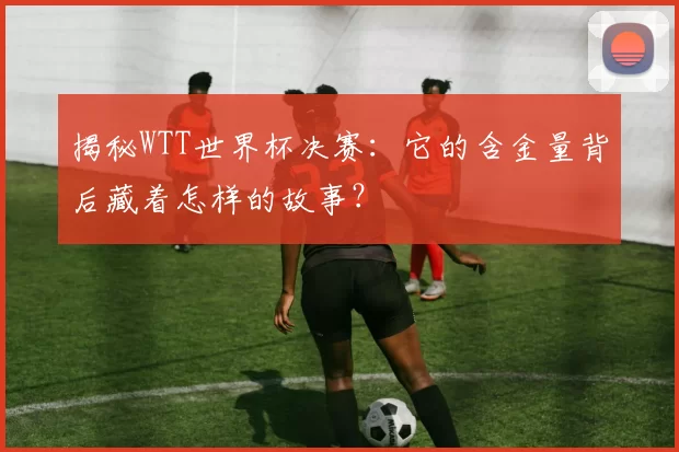 揭秘WTT世界杯决赛：它的含金量背后藏着怎样的故事？