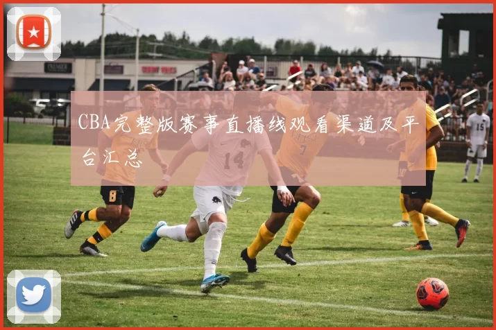 CBA完整版赛事直播线观看渠道及平台汇总