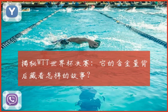 揭秘WTT世界杯决赛：它的含金量背后藏着怎样的故事？