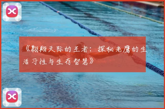 《翱翔天际的王者：探秘老鹰的生活习性与生存智慧》