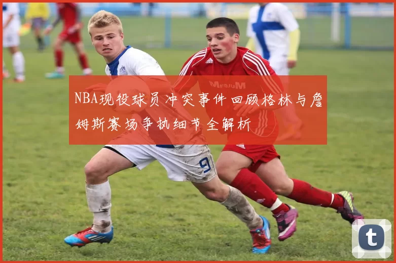 NBA现役球员冲突事件回顾格林与詹姆斯赛场争执细节全解析