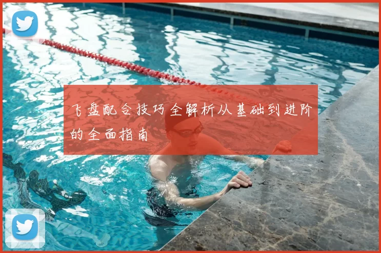 飞盘配合技巧全解析从基础到进阶的全面指南