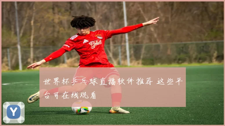 世界杯乒乓球直播软件推荐 这些平台可在线观看