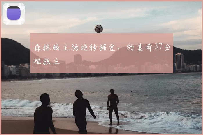 森林狼主场逆转掘金，约基奇37分难救主