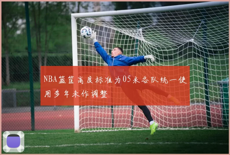 NBA篮筐高度标准为05米各队统一使用多年未作调整