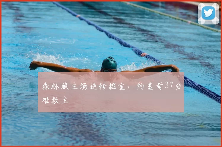 森林狼主场逆转掘金，约基奇37分难救主