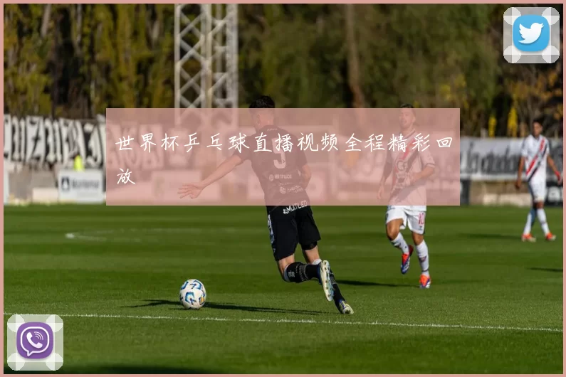世界杯乒乓球直播视频全程精彩回放