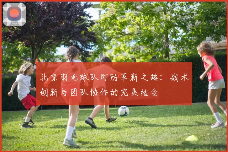 北京羽毛球队盯防革新之路：战术创新与团队协作的完美结合