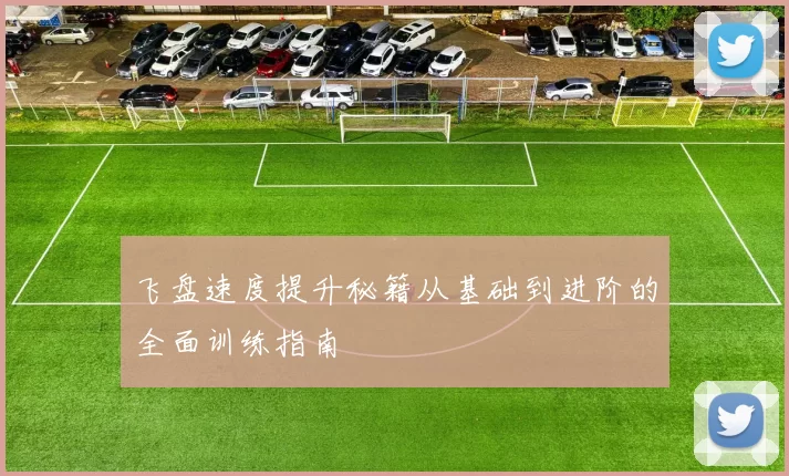 飞盘速度提升秘籍从基础到进阶的全面训练指南