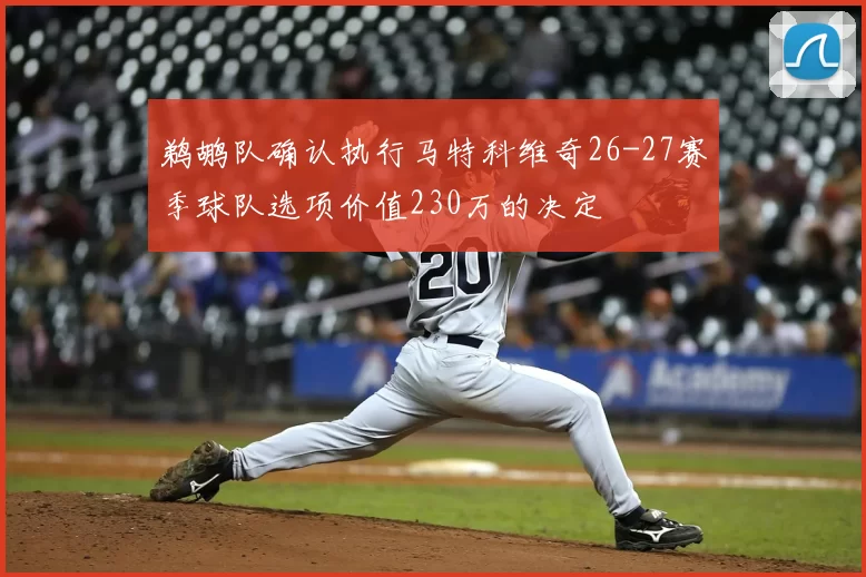 鹈鹕队确认执行马特科维奇26-27赛季球队选项价值230万的决定