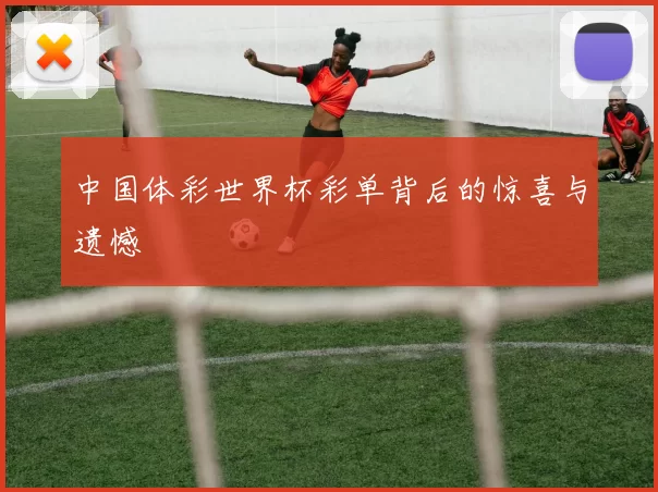 中国体彩世界杯彩单背后的惊喜与遗憾