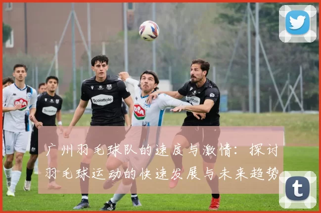 广州羽毛球队的速度与激情:探讨羽毛球运动的快速发展与未来趋势