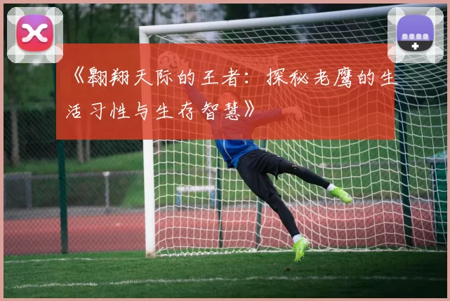 《翱翔天际的王者：探秘老鹰的生活习性与生存智慧》