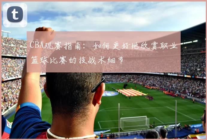 CBA观赛指南:如何更好地欣赏职业篮球比赛的技战术细节