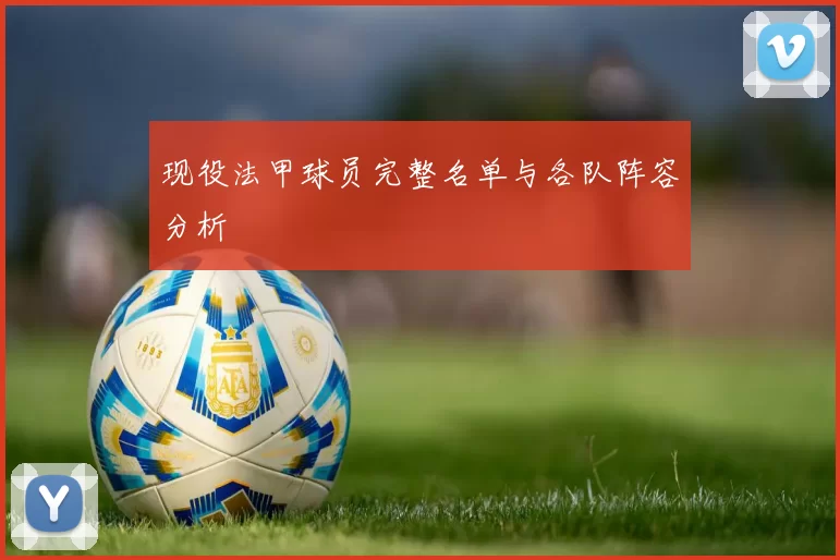 现役法甲球员完整名单与各队阵容分析