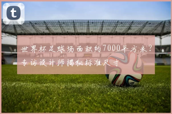 世界杯足球场面积约7000平方米?专访设计师揭秘标准尺寸
