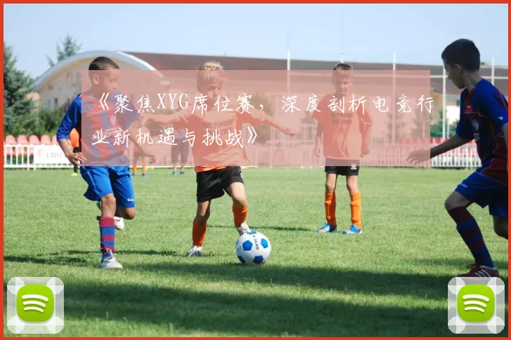 《聚焦XYG席位赛，深度剖析电竞行业新机遇与挑战》