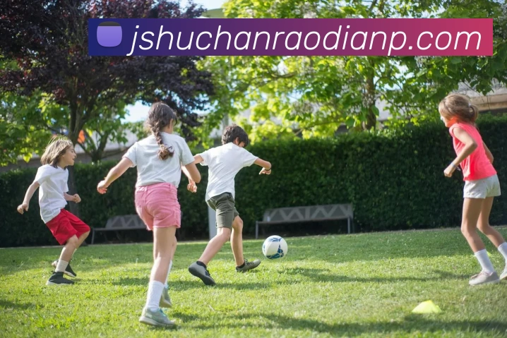 亚新官网平台生态图